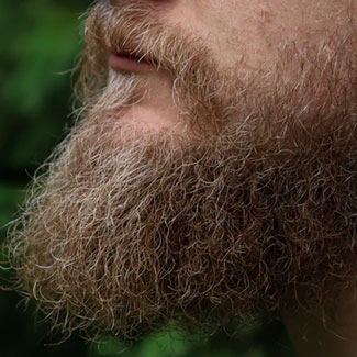 Beard with split ends