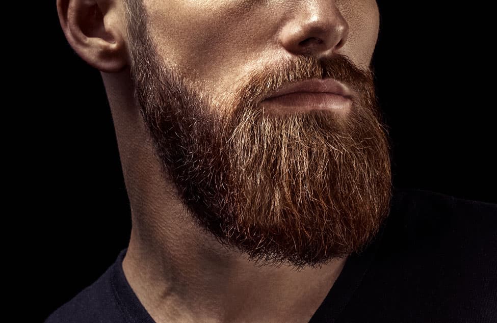 The 17 Best Beard Straighteners Money Can Buy (2023)