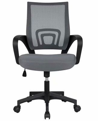 SKONYON Office Chair With Adjustable Back