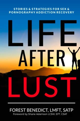 Life After Lust: Stories and Strategies for Sex & Pornography Addiction Recovery