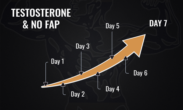 Chart showing testosterone rising through seven days of no fap 