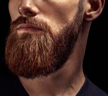Man with long beard, thick beard