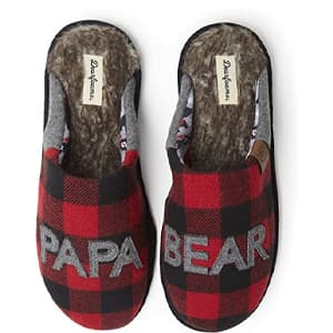 Pap bear slippers