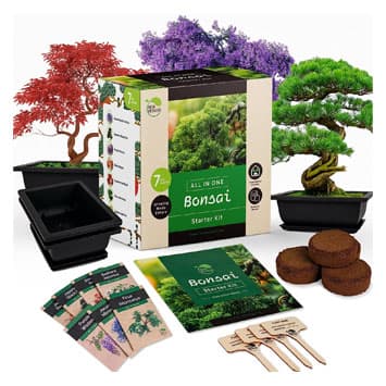 Bonsai kit