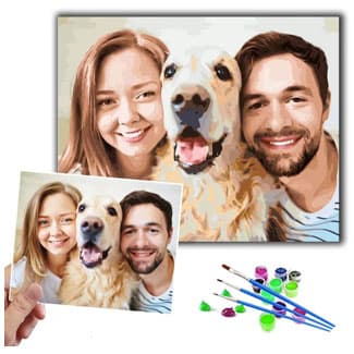 Paint-by-numbers portrait